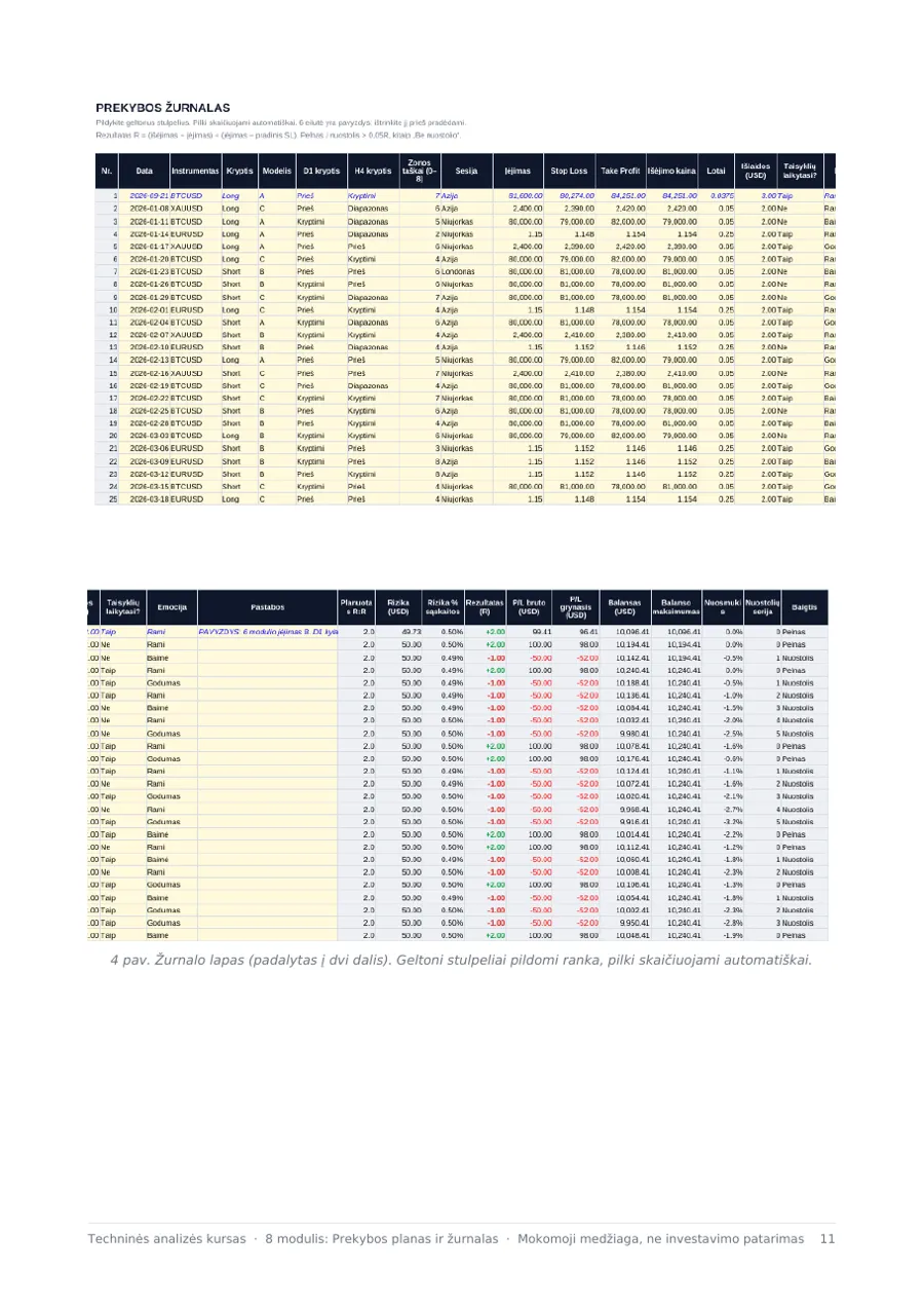 8 modulis: Excel žurnalas iš arti